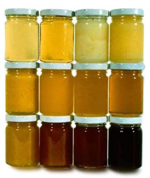 لون العسل,العسل,فوائد العسل,انواع العسل,العسل الغامق,العسل الفاتح,أنزيمات العسل,الأملاح المعدنية بالعسل,جودة العسل