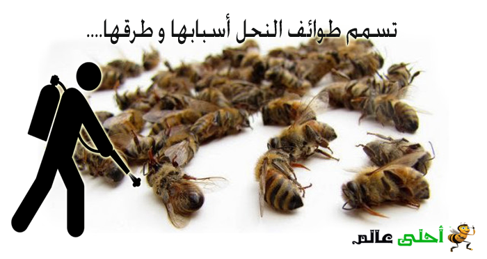 تسمم النحل, تربية النحل, ادارة المناحل, أسرار النحل, العناية بالنحل, تسمم النحل , النحل, تسمم المناحل, نحلة, تسمم طوائف النحل, أسباب تسمم النحل, طرق تسمم النحل, موقع نحلة, احلى عالم 