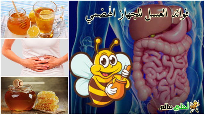 فوائد العسل, العسل , العسل للمعدة, العسل للأمعاء, العسل للجهاز الهضمي, عسل, فوائدة العسل, علاج القولون, العسل للقولون, علاج المعدة, فوائد العسل للجهاز الهضمي ,موقع نحلة ,احلى عالم