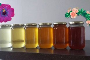 ألوان العسل,لون العسل,العسل,منتجات النحل,عسل النحل,فوائد العسل,أنواع العسل, الرحيق,العسل الجبلي,عسل السدر,عسل الكستناء,عسل القطن