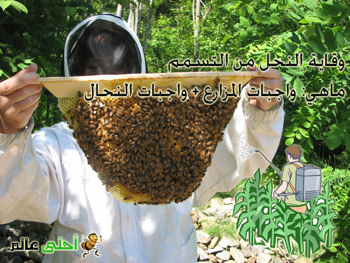 وقاية النحل من التسمم, وقاية النحل من الامرا, علاج النحل, النحل, العناية بالنحل, تربية النحل, منع تسمم النحل, تسمم النحل, نحلة احلى عالم, موقع نحلة